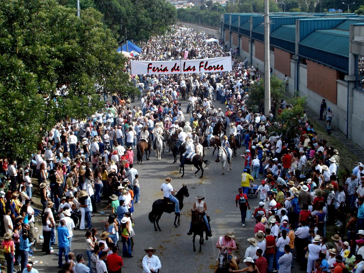 Riders on horseback and cheering crowds fill a Medellín avenue during the Feria de las Flores