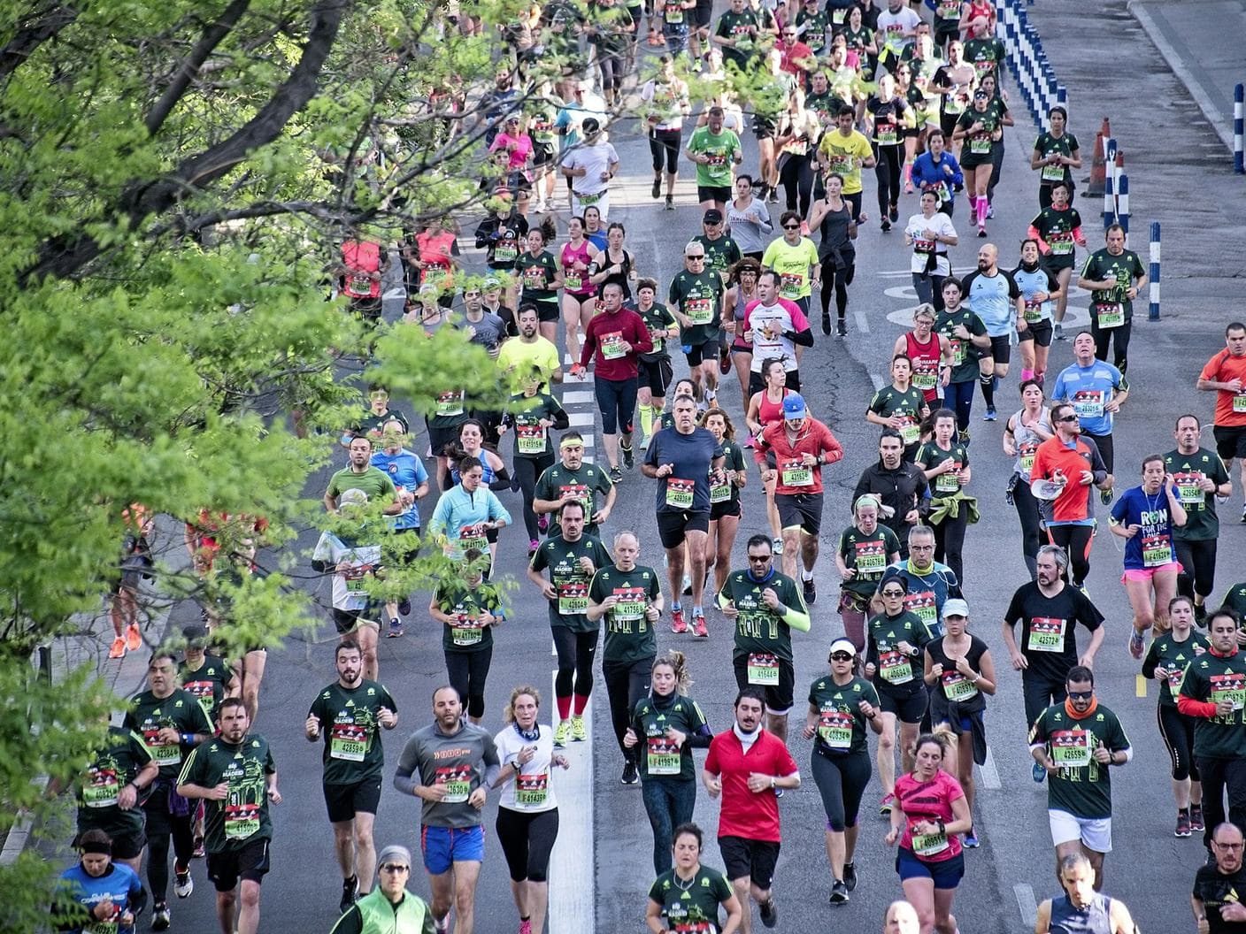 Hundreds of runners in bright shirts stream down a tree-lined city avenue during a marathon