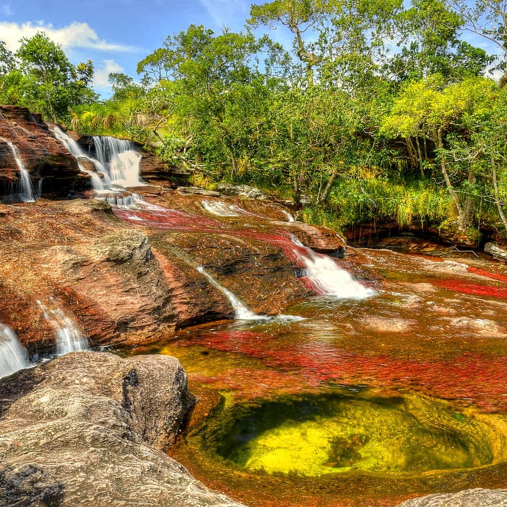 Plantas acuáticas rojas, amarillas y verdes brillan bajo las cascadas de Caño Cristales