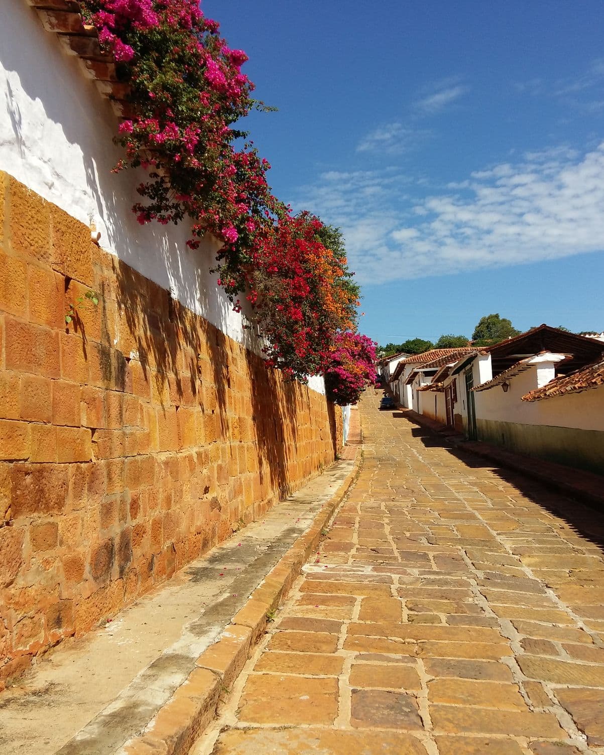 Callejón empedrado y soleado con paredes blancas y buganvilias rosadas en Barichara