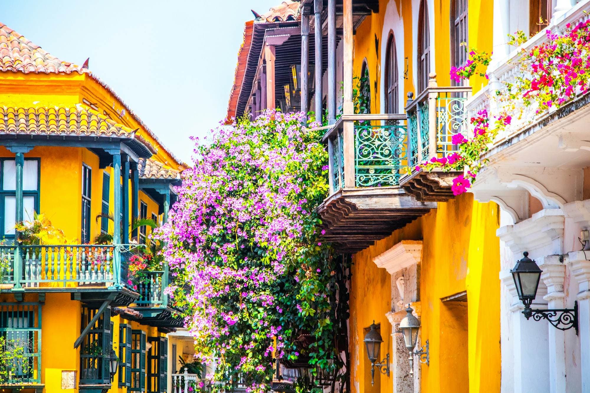 Balcones coloniales amarillos desbordados de buganvilias rosadas y moradas en una calle de Cartagena