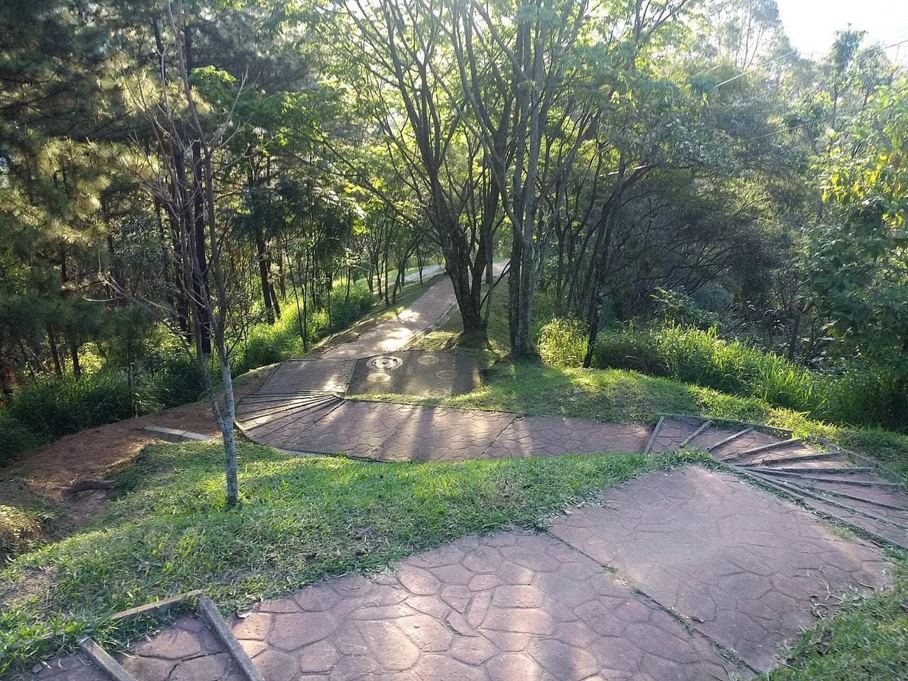 Sendero soleado que sube entre los árboles del Parque Natural Cerro El Volador