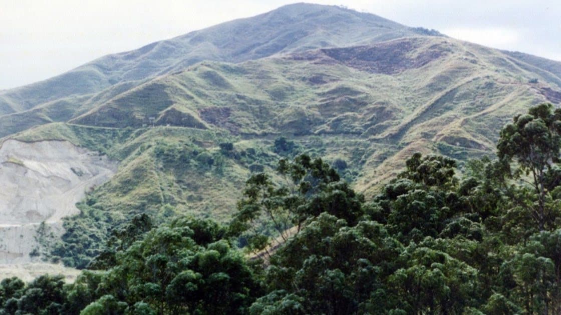 Green slopes of Cerro de las Tres Cruces rising above pine trees on Medellín's western edge