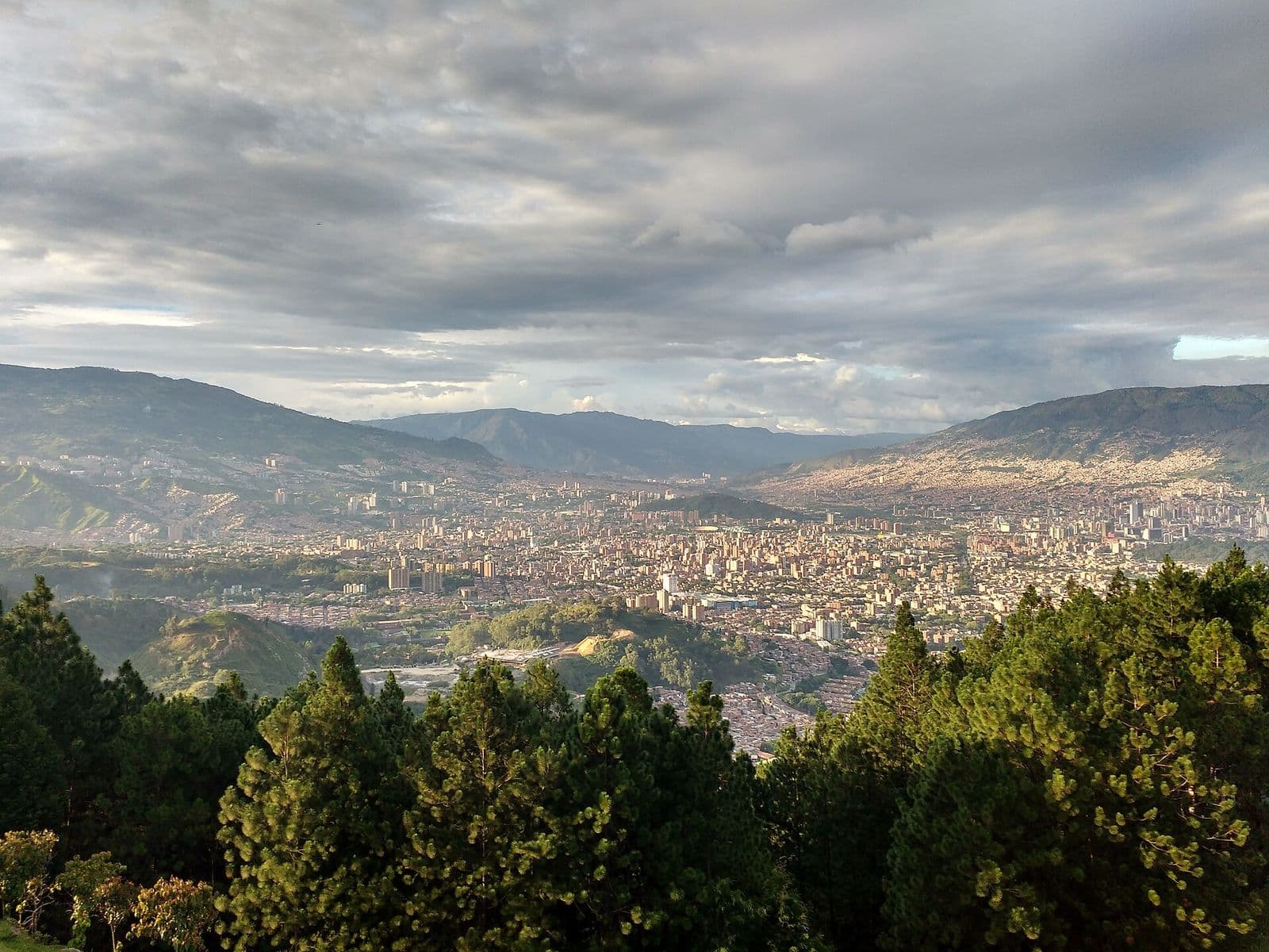 Sweeping view over Medellín's valley and pine forest from the summit of Cerro de las Tres Cruces