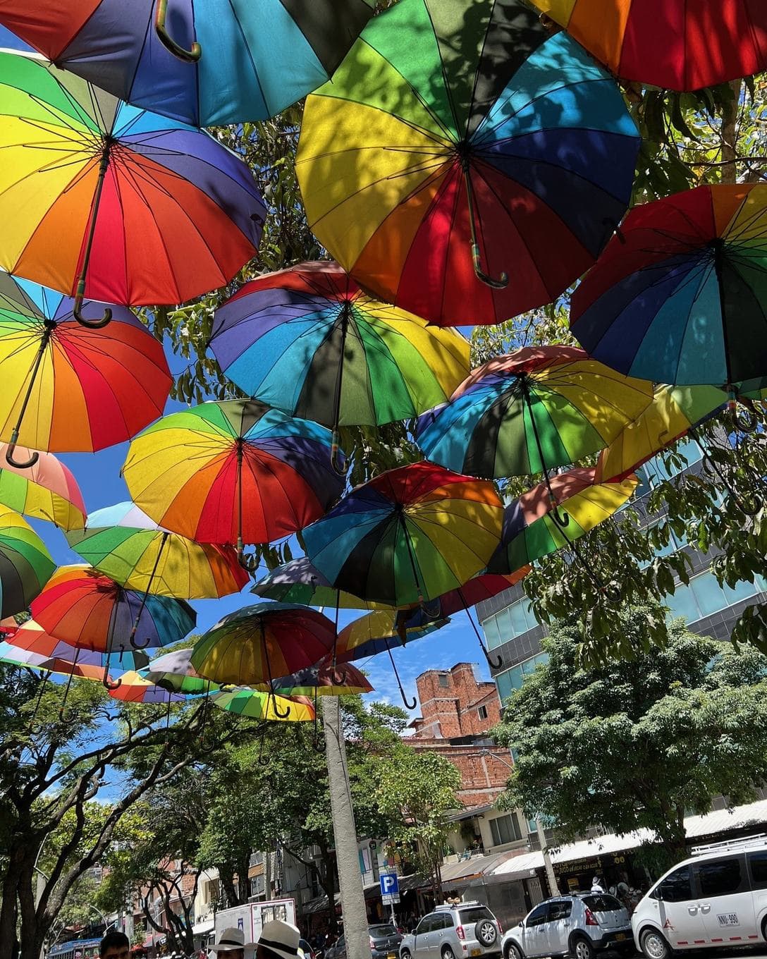 Rainbow umbrellas suspended above a tree-lined stretch of La 70 avenue in Laureles, Medellín