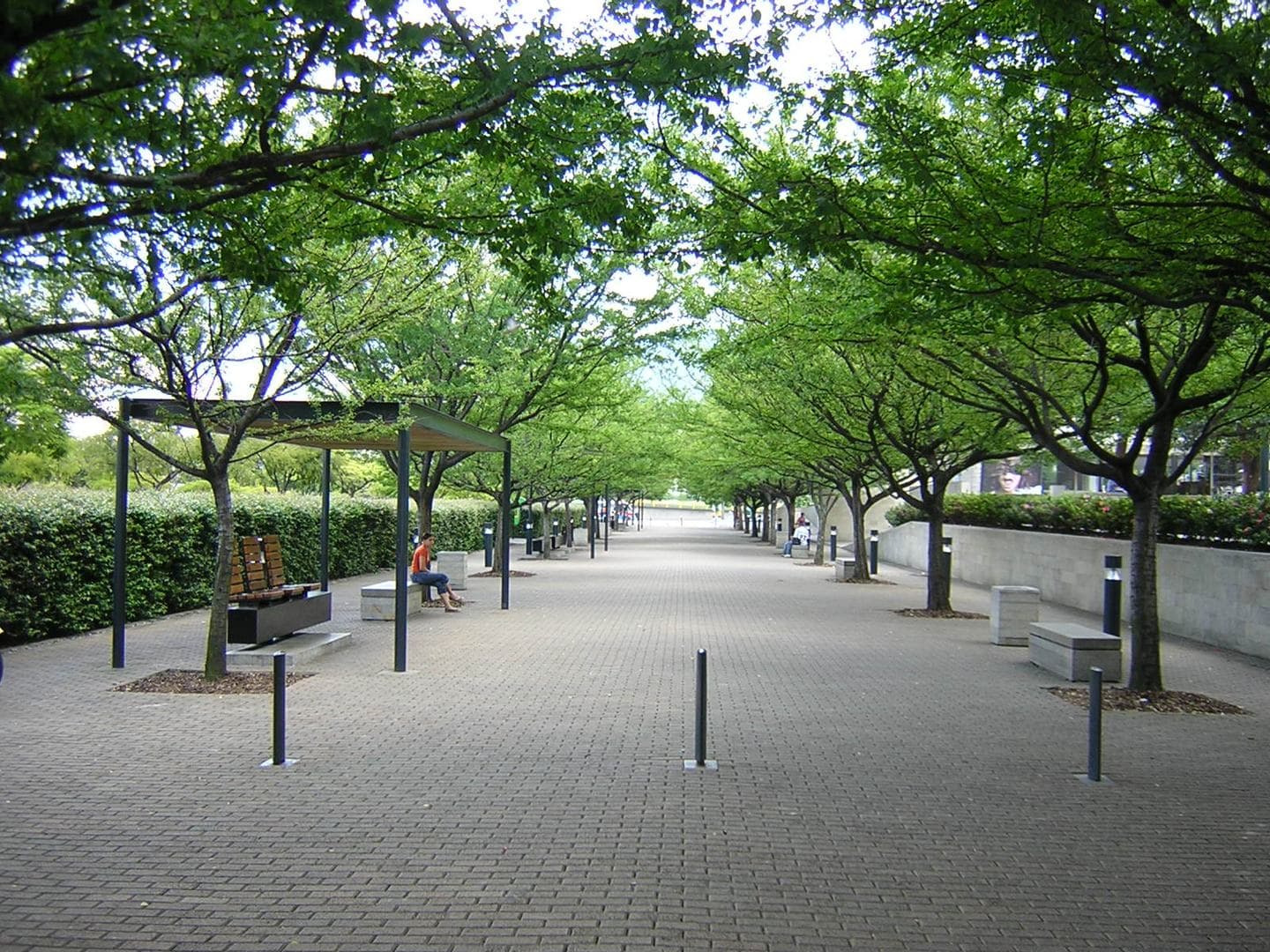 Tree-shaded walkway with benches through Parque de los Pies Descalzos near La Alpujarra