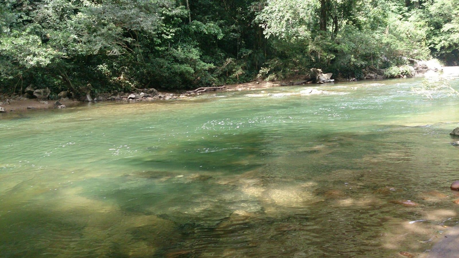 Clear emerald river running between lush jungle banks in Reserva Natural Cañón del Río Claro