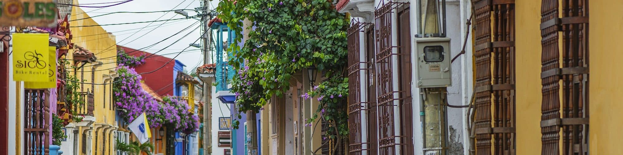 Yellow colonial houses draped in purple flowers on a sunny Cartagena street